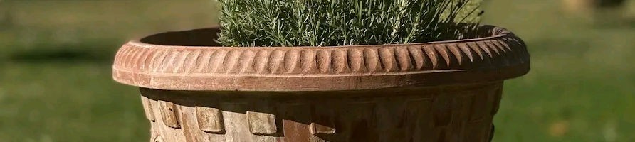 Vasi terracotta artigianali